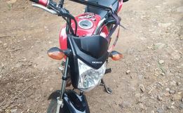 Embriagado e sem CNH, motociclista foge de abordagem, é perseguido e preso pela PMRv 