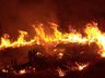 Incêndio atinge área de sete mil metros quadrados