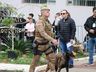 Desfile de 7 de Setembro reúne militares, escolas, entidades e famílias em SMO