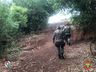 Polícia Militar Ambiental apreende palanques na fronteira 