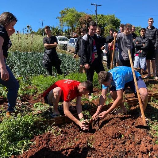 Lions Clube de Iporã do Oeste realiza mais uma etapa do Projeto 10 mil Árvores