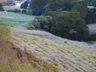 Geada muda paisagem em São Miguel do Oeste neste domingo; FOTOS E VÍDEO