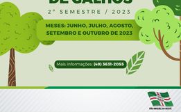 Urbanismo realiza o cronograma do 2º semestre para recolha de galhos em 2023