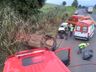 Idoso fica ferido em capotamento de veículo na BR-282 