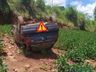 Motorista morre em capotamento no interior de São Lourenço do Oeste