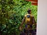 Após denúncia de violência doméstica, homem é detido com drogas e dinheiro 