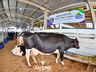 Confira fotos de domingo da maior feira multisetorial da região