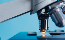 Antiviral tecovirimat será avaliado pela Anvisa para tratar varíola dos macacos