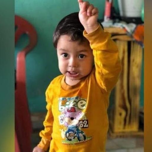 Menino de 2 anos é picado por animal e morre em Santa Catarina