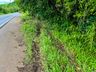 Carro ‘abraça’ árvore em saída de pista na BR-282 entre SMO e Maravilha