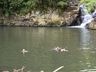 Homem de 37 anos morre afogado no Rio Cambuim