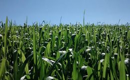 Em Anchieta, Empretec Rural acontece de 7 a 12 de Novembro