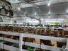 Itapiranga projeta 30 mil pessoas na Efrait