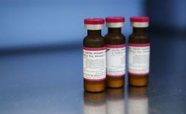 SC implementa “Dose Zero” contra o sarampo em bebês de 6 a 11 meses  