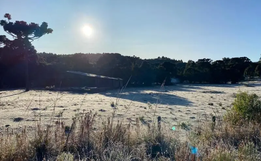 Semana começa fria e ensolarada em SC