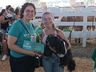 Desfile de cães tem presença de 20 animais na Efrait 2024