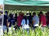 Cooperalfa promove campo tecnológico de pastagens de verão em SJCedro
