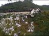 Caminhoneira de Iporã do Oeste morre em acidente na Bahia