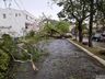 Temporal deixa rastro de destruição em Iraí; confira fotos