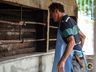 Mais de 830KG de carne são comercializados na tradicional festa do padroeiro