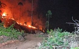 Incêndio florestal mobiliza bombeiros por quatro horas