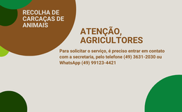 São Miguel do Oeste vai recolher animais mortos em propriedades rurais