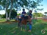 VÍDEO: Relação entre humanos e cavalos traz benefícios para o corpo e mente 