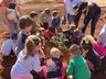 Alunos plantam araucária no Dia Mundial do Meio Ambiente