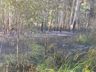 Incêndio consome pastagem e reflorestamento em Itapiranga