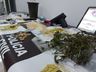 Ação conjunta da polícia apreende drogas e prende duas pessoas por tráfico na comarca de Descanso