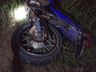 Motociclista fica gravemente ferido após atingir animal na SC-161