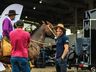 São Miguel Tchê movimenta parque de exposições; confira fotos