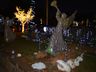 Santa Terezinha do Progresso comemora acendimento das luzes com show 