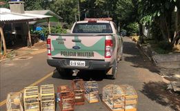 Polícia Militar Ambiental flagra aves nativas em cativeiro