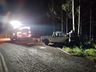 Princípio de incêndio atinge veículo depois de bater em árvore na SC-305 