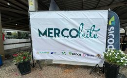 Mercoleite 2025 vai reunir 14 produtores e mais de 80 animais na Faismo
