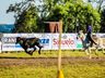 Começa 22º São Miguel Tchê no parque de exposições; fotos