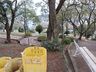 Praça recebe limpeza e melhorias na iluminação neste mês 