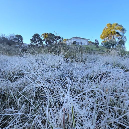 Cidade mais fria do Brasil tem termômetros abaixo de 0°C e campos “congelam” na Serra de SC