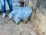 Comunidade realiza ação em prol do meio ambiente no interior de Itapiranga