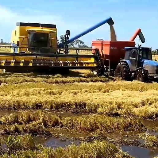 Secretaria da agricultura debate ações, benefícios e define novo presidente do conselho
