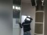 Homem apanha de cinta de funcionário da prefeitura durante sessão em SC