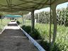 Cooperalfa promove campo tecnológico de pastagens de verão em SJCedro