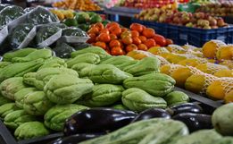 Santa Catarina lidera ranking nacional de segurança alimentar, aponta IBGE