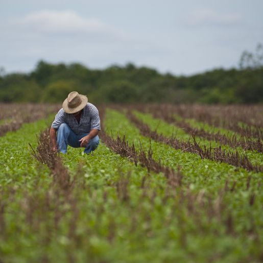 Coopacep atende agricultores com assistência técnica nas propriedades