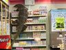 VÍDEO: lagarto gigante invade supermercado e escala prateleiras