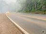 Falta de faróis ligados aumenta risco de acidentes em dias de intensa neblina