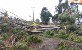 Chapecó é atingida por vendaval neste sábado; meteorologista identifica tornado