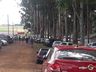 Veloterra atrai pessoas de toda região neste domingo em São José do Cedro