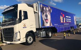 Mutirão de castração de animais será realizado em São João do Oeste 